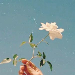 Meet your Posher, Rahab